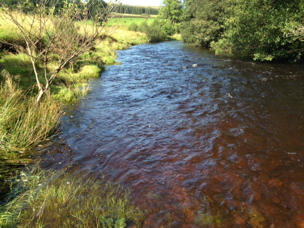 The 2019 Season In Review – Loch Lomond Angling Improvement Association